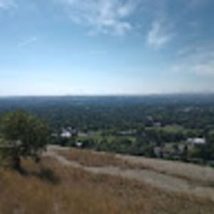 Meet your Posher, Darrin